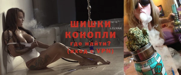гидра Аркадак