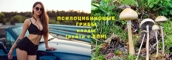 ECSTASY Армянск