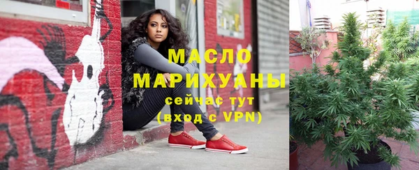 гидра Аркадак