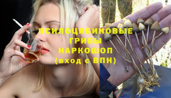 винт Арсеньев
