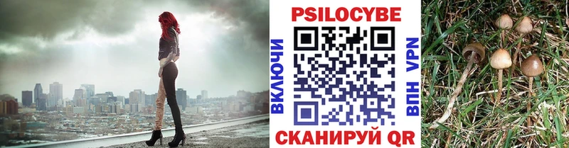 Псилоцибиновые грибы прущие грибы  hydra зеркало  Губкин 